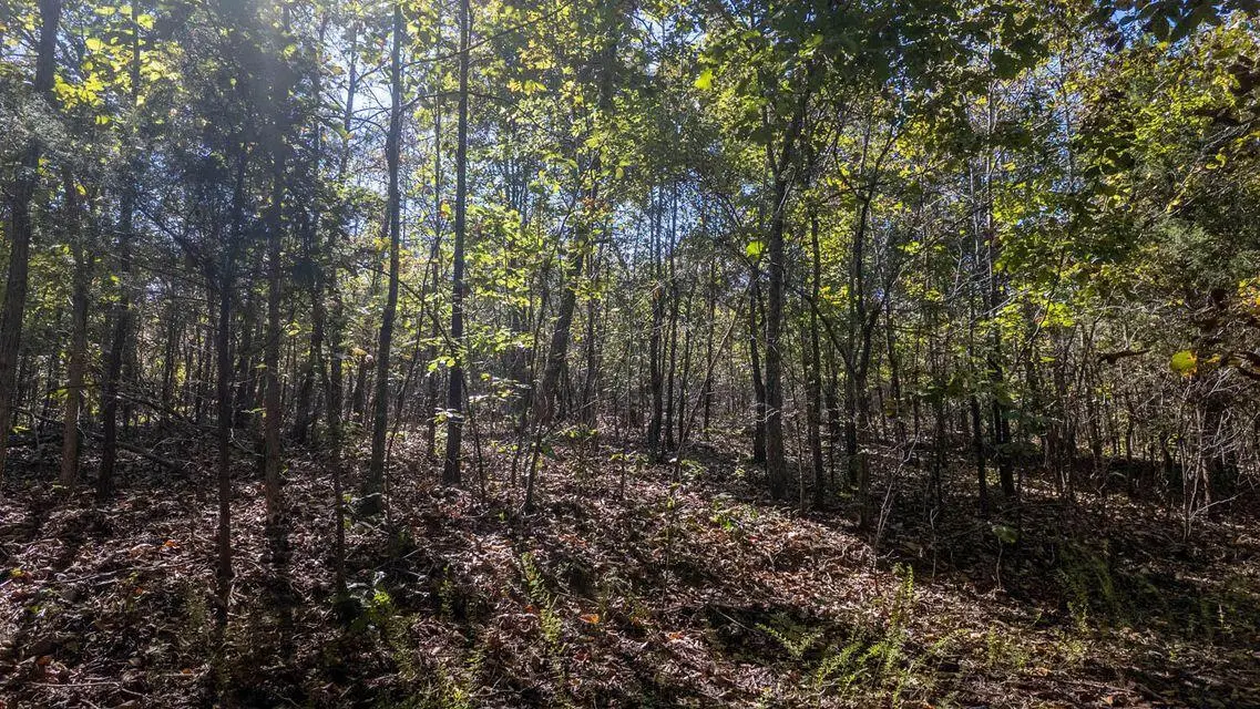 000 Wetumka DR, Cherokee Village, AR 72529