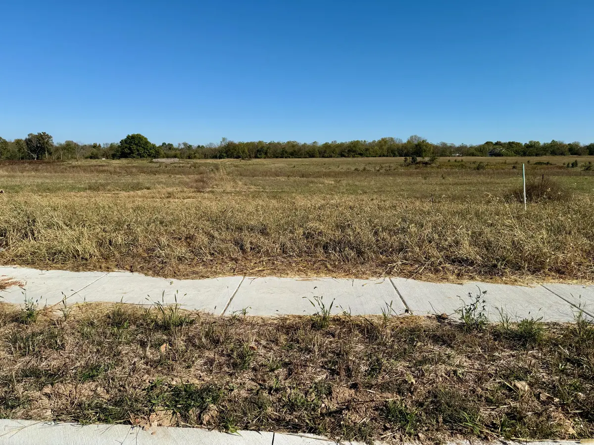 991 S Stonewall RD, Republic, MO 65738