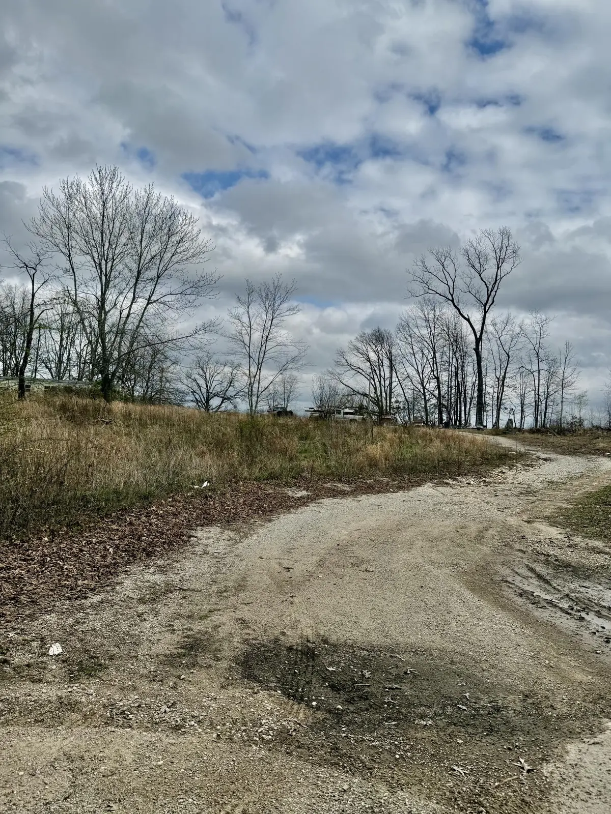 1365 County Road 3500, Mountain View, MO 65548