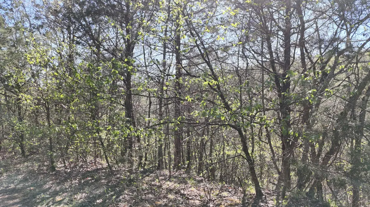 Lot #46 Gumbo Woods, Shell Knob, MO 65747