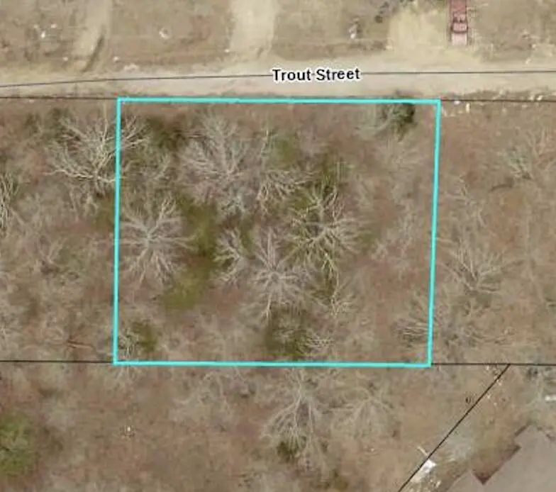 140 Trout ST, Kissee Mills, MO 65680