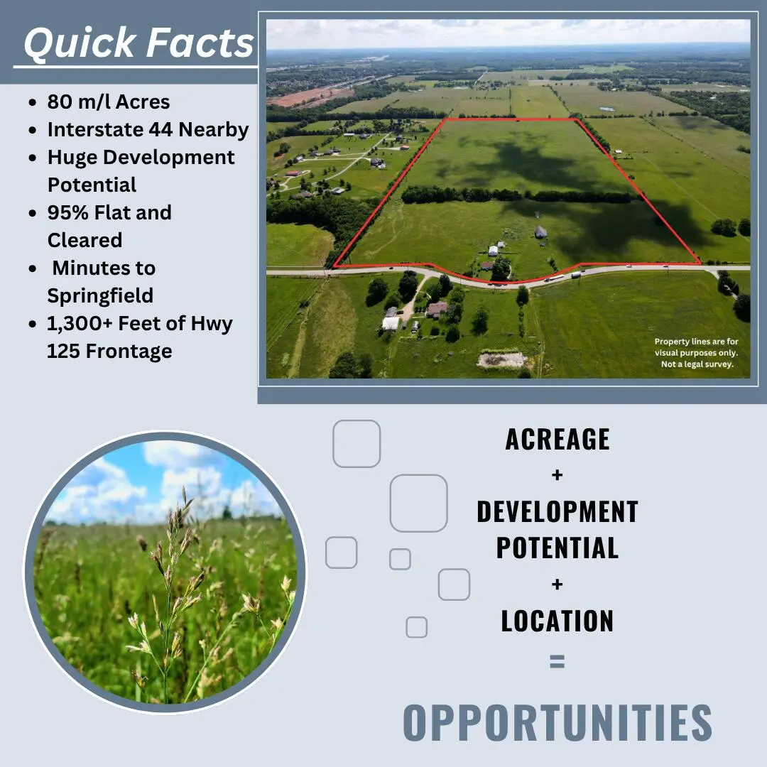 3246 N State Highway 125, Strafford, MO 65757