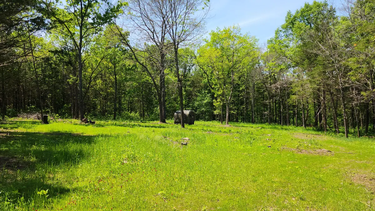 000 County Road 333, Polk, MO 65727