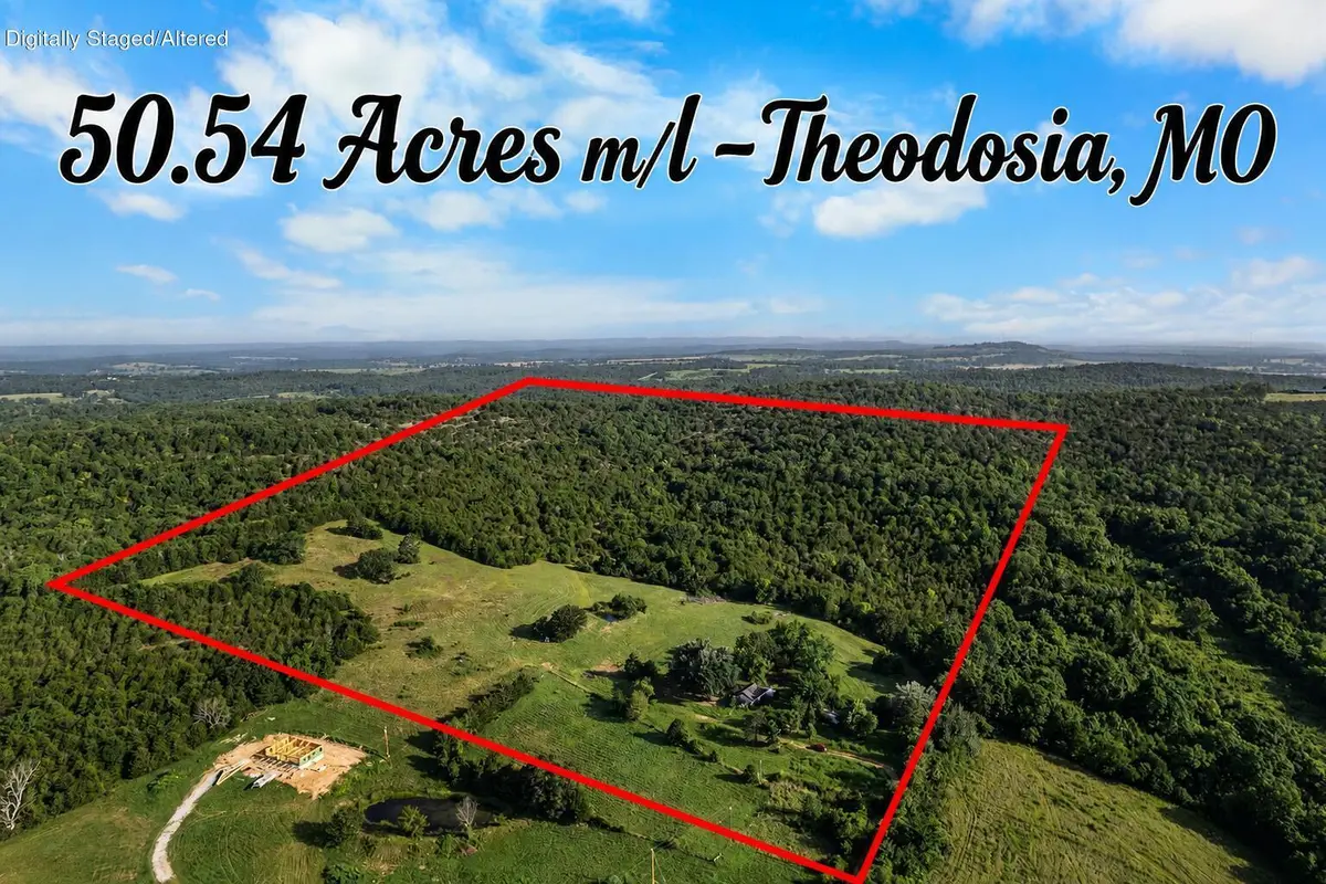 550 County Road 900, Theodosia, MO 65761