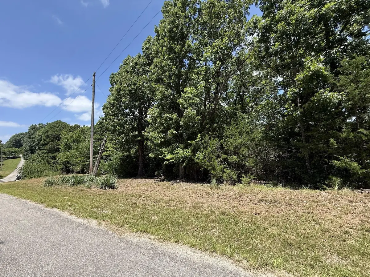Lot 14&15 Mountain Estate DR, Blue Eye, MO 65611