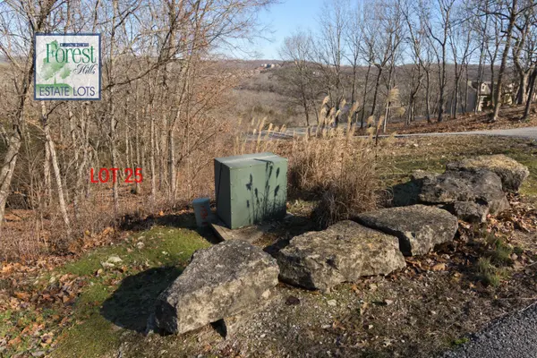 Lot 25 Trail New LN, Branson West, MO 65737