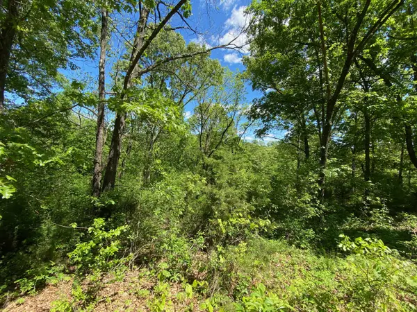 0 Mule Barn DR, Cape Fair, MO 65624