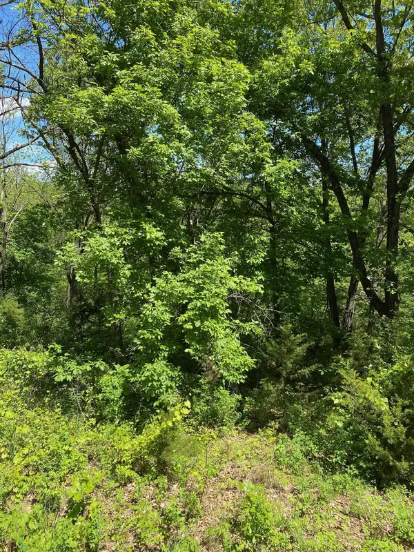 0 Mule Barn DR, Cape Fair, MO 65624