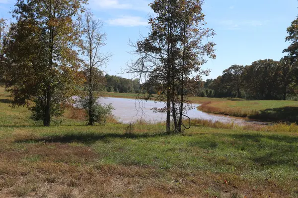 000 Wild Turkey RD #Block 1 Lot 6, West Plains, MO 65775