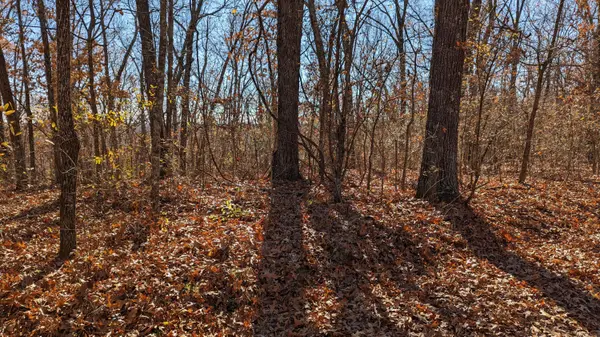 Tracts 1-3 Dogwood Hills EST, Cape Fair, MO 65624