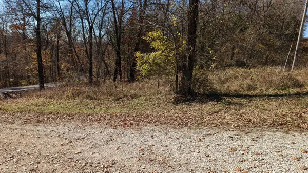 Tracts 1-3 Dogwood Hills EST, Cape Fair, MO 65624