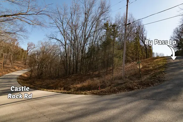 Lot 11 By Pass LOOP, Branson West, MO 65737