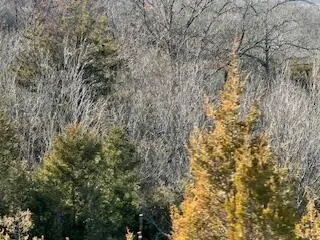000000 Ozark Scenic, Branson, MO 65616
