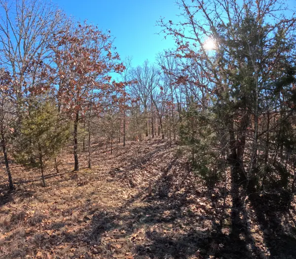 Tract Q Galaxy Lane LN, Lebanon, MO 65536