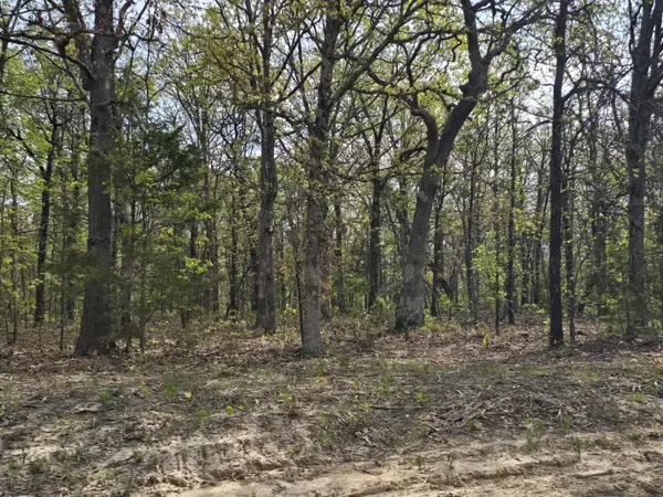 Tract C Golden LN, Lebanon, MO 65536