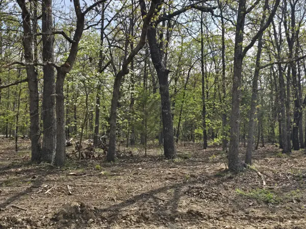 Tract O Greatview LN, Lebanon, MO 65536