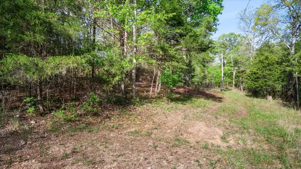 250 Vin Villa, Forsyth, MO 65653