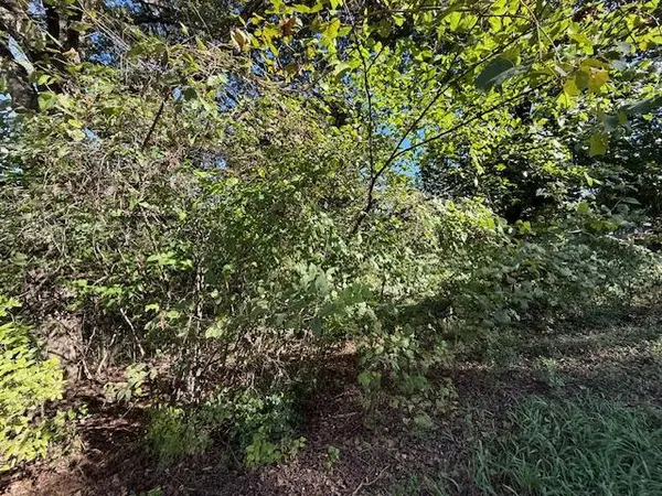 0 Circle Hill DR, Blue Eye, MO 65611