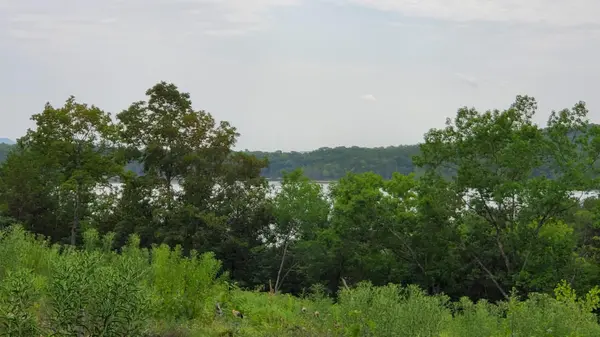 000 Lot 79 Summer Breeze, Kimberling City, MO 65686