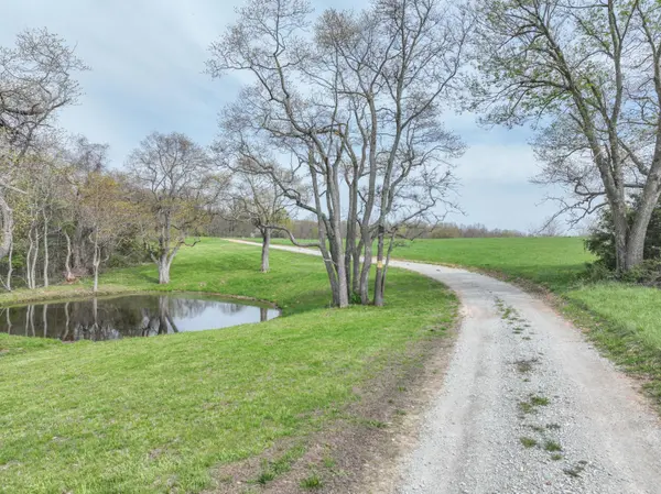 858 Kimberlin Mill Road, Clever, MO 65631