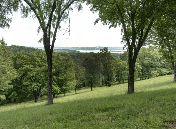 Tbd Cool Creek RD, Branson West, MO 65737