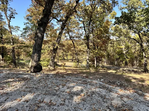 000 Trophy Run RD, Hollister, MO 65672