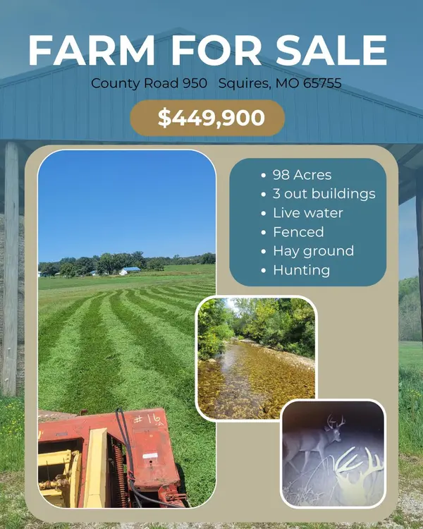 Tbd County Road 950, Squires, MO 65755