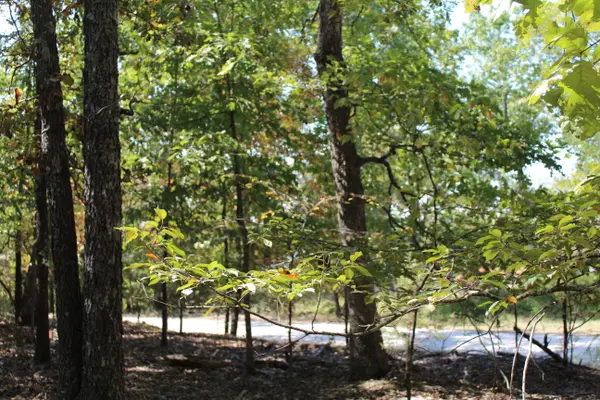 000 Blue Lake DR #Lot 26, Protem, MO 65733