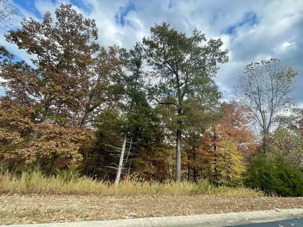 Lot 15 Shinnecock Hills DR, Branson, MO 65616