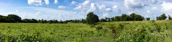 16406 Lawrence 2240, Verona, MO 65769