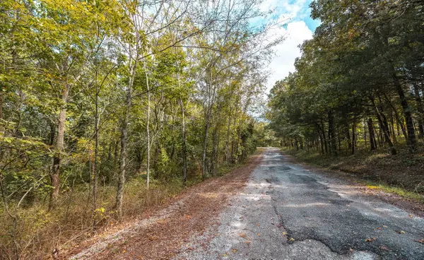 28060 Farm Rd 1268 #Lot 27, Golden, MO 65658