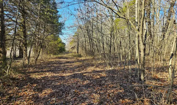 3121 South 25th Road, Humansville, MO 65674