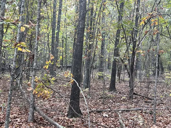 Lot 1 County Road 113, Alton, MO 65606