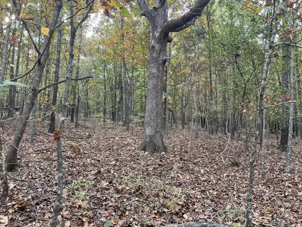 Lot 1 County Road 113, Alton, MO 65606