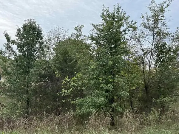 Lot 20 Rabbit Run, Cape Fair, MO 65624