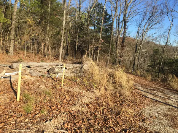 10 Acres Stallion Bluff RD, Shell Knob, MO 65747