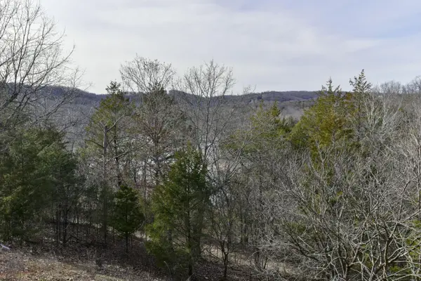5 Woodpecker LN #2, Branson, MO 65616