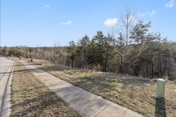 Lot 142 Country Ridge WAY, Branson, MO 65616