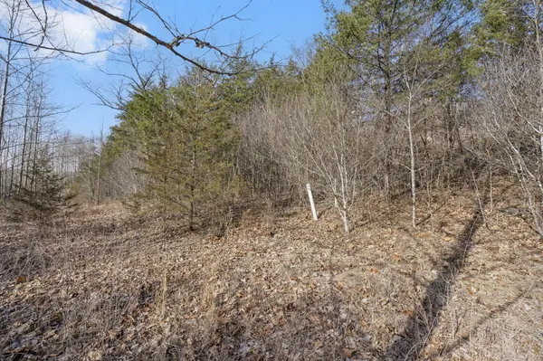 Lot 143 Country Ridge WAY, Branson, MO 65616