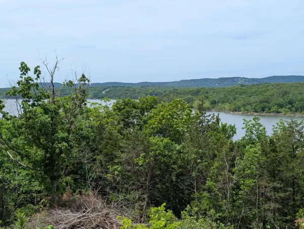 000 Briarcliff DR, Shell Knob, MO 65747