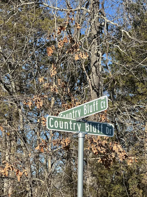 000 Country Bluff DR, Branson, MO 65616
