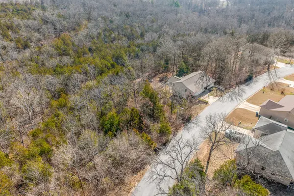 Lots 62 & 63 Eagle DR, Forsyth, MO 65653