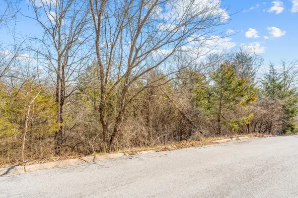 Lots 62 & 63 Eagle DR, Forsyth, MO 65653