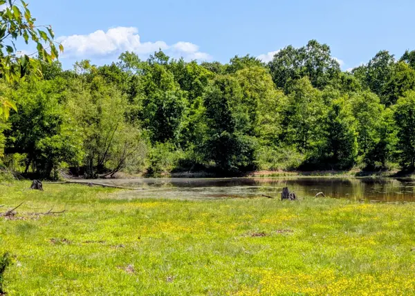 000 County Road 9160, Koshkonong, MO 65692
