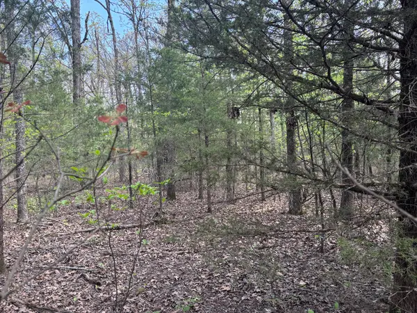 000 County Road 644, Theodosia, MO 65761