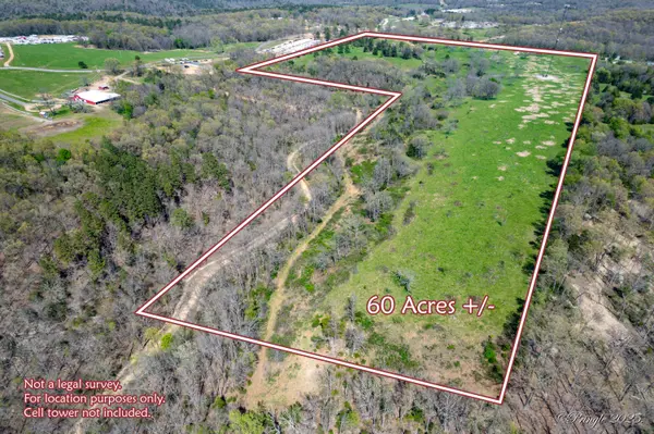 000 County Road 350, Caulfield, MO 65626