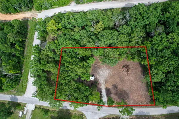 650 Lakeview DR, Ridgedale, MO 65739
