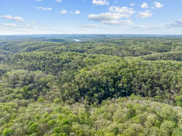 160 Old Horseshoe Rdg, Lampe, MO 65681