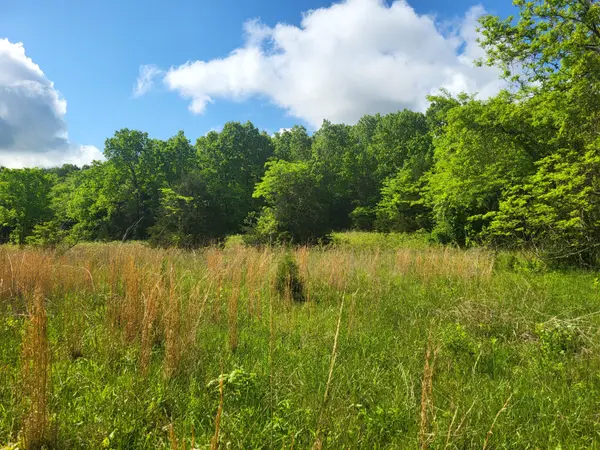000 County Road 511, Gainesville, MO 65655