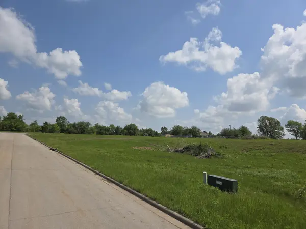 990 N Lindsey AVE #Lot 17, Republic, MO 65738